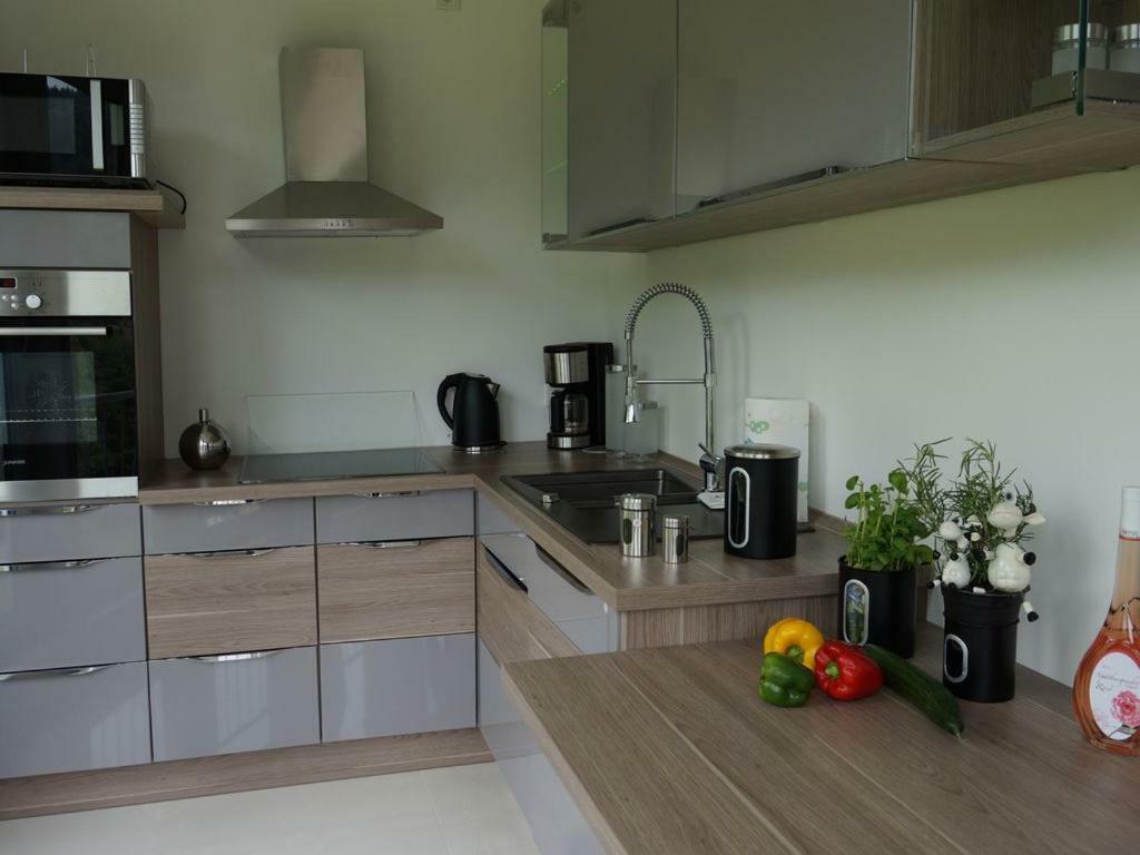 Thueringer Wald Apartment Zella-Mehlis
